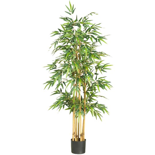 5.3ft. Potted Bamboo Tree